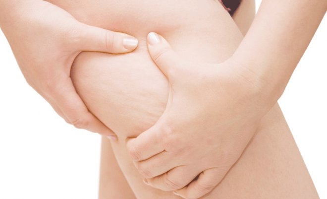 Salatalıklar salataliklar.jpg