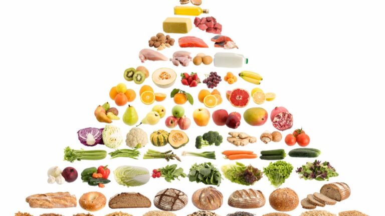 food guide pyramid e