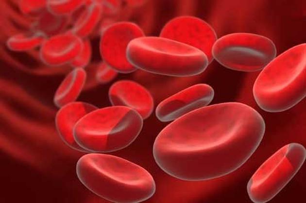Kan grupları ve kişilik özellikleri